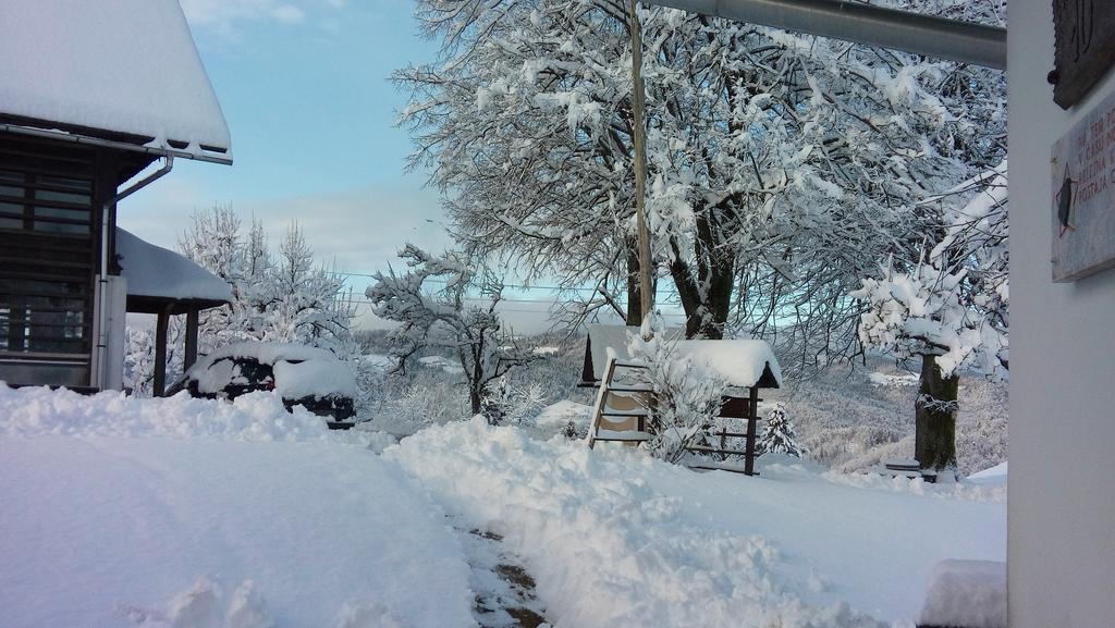 Tourist Farm Ljubica Villa Poljane nad Škofjo Loko Exterior foto