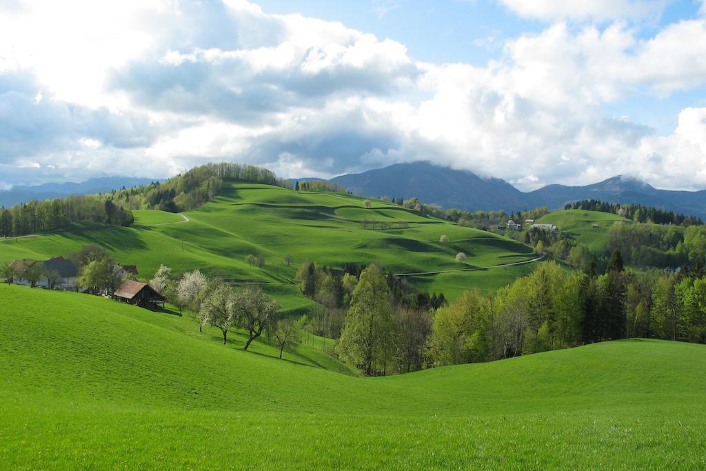 Tourist Farm Ljubica Villa Poljane nad Škofjo Loko Exterior foto