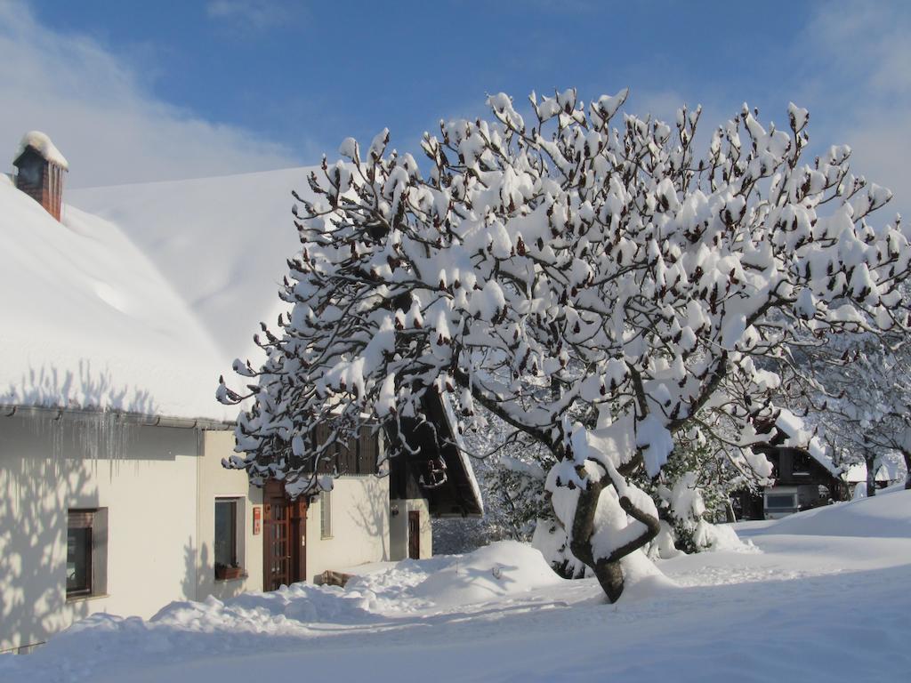 Tourist Farm Ljubica Villa Poljane nad Škofjo Loko Exterior foto