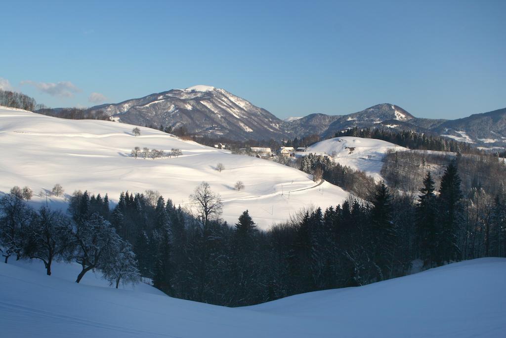Tourist Farm Ljubica Villa Poljane nad Škofjo Loko Exterior foto