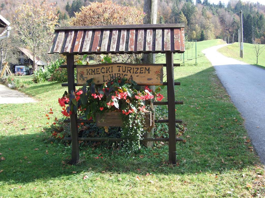 Tourist Farm Ljubica Villa Poljane nad Škofjo Loko Exterior foto