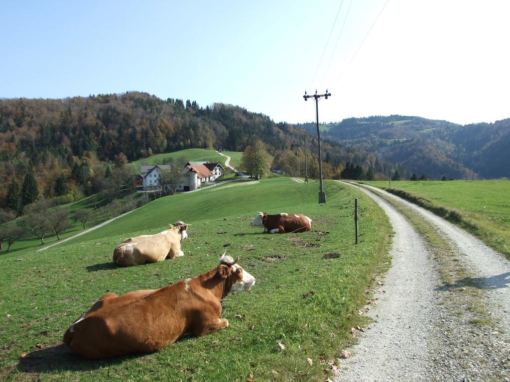 Tourist Farm Ljubica Villa Poljane nad Škofjo Loko Exterior foto