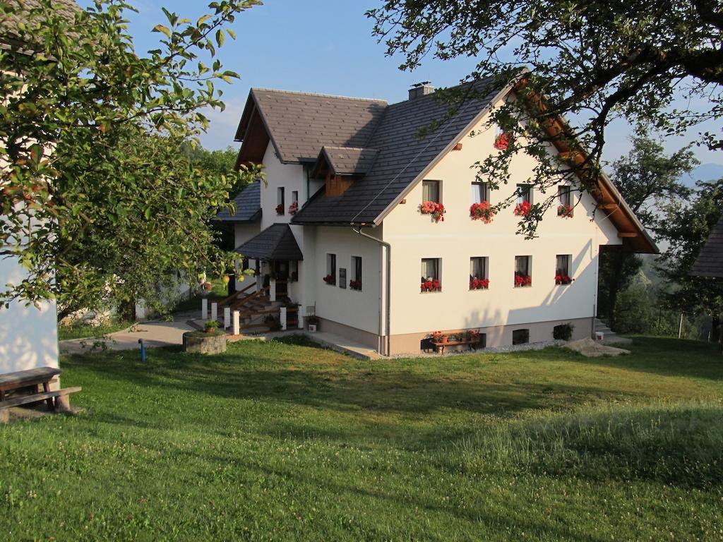 Tourist Farm Ljubica Villa Poljane nad Škofjo Loko Exterior foto
